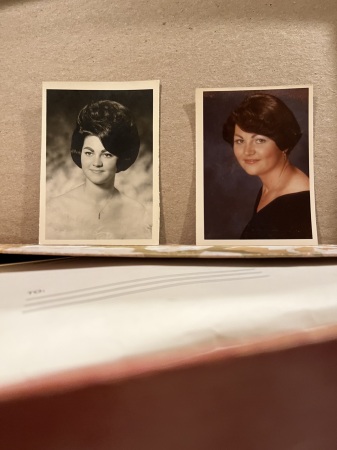 Judy Wheeler's Classmates profile album