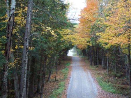 Sandra Mate's album, Gooderham