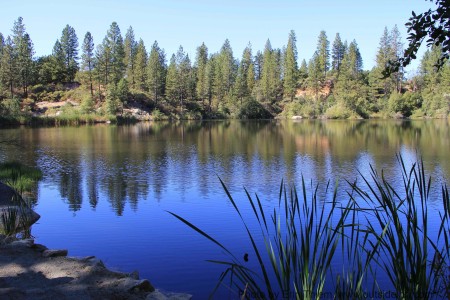 Our Small Sierra Lake