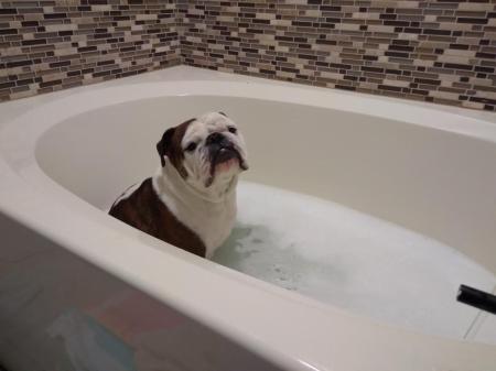 CASHI FUR GRANDBABY IN HIS BUBBLE BATH