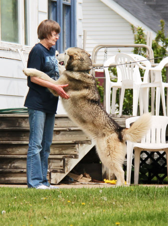 Bonnie and Miko, my wife and dog, respectively