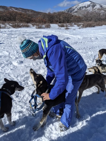 2021, Covid-19 dog sledding @ home in Durango