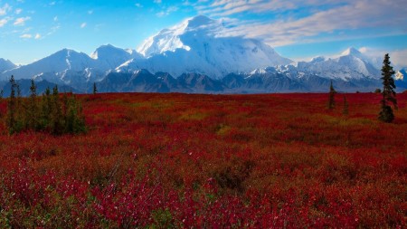 Denali Alaska  (formerly Mt. McKinley)