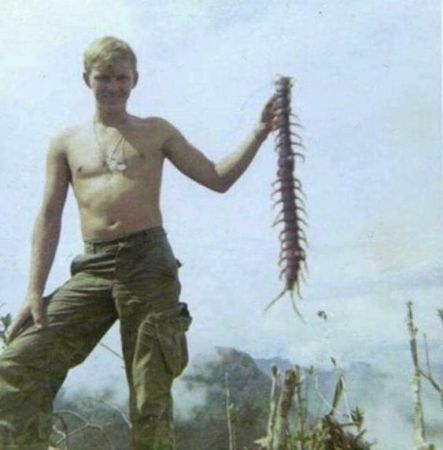 Viet Nam foot long centipede