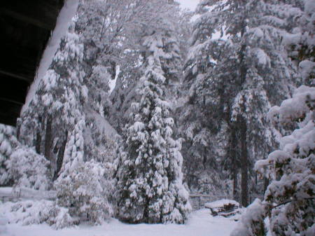 View From Our Porch, Winter 2011