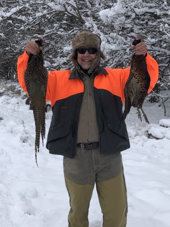 Kansas pheasant hunting, 2018