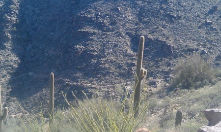 White Tank Mountain Park over a 30000 acres