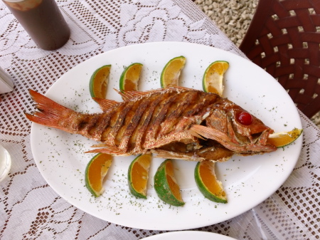 Costa Rica - Red Snapper Lunch 