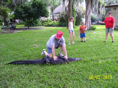 Gator Capture