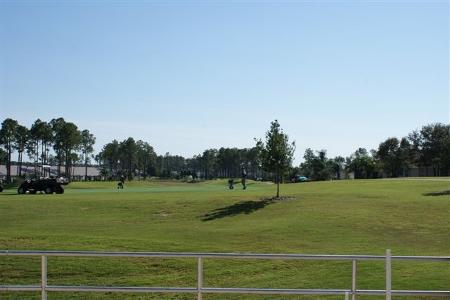 Florida backyard