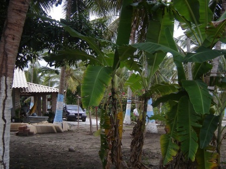 Vacation Home I built in Bahia,Brazil