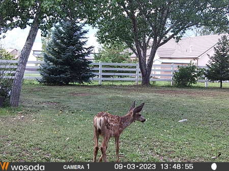 One of our five babies this year!