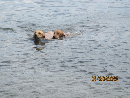 enjoying the lake