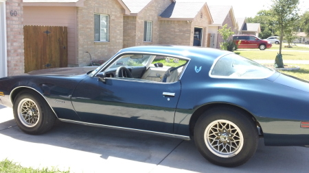 1980 Pontiac Firebird