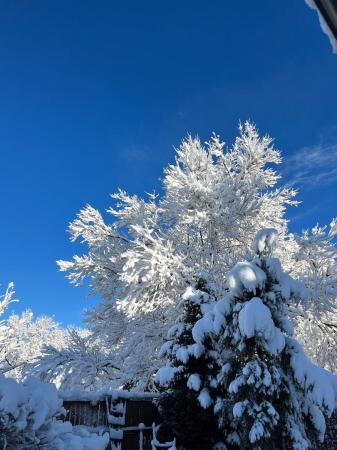 Rocky.Mountain.High.12-28-22