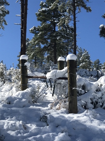 Lynx Lake, Az.