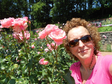 Roses at the Biltmore Estate