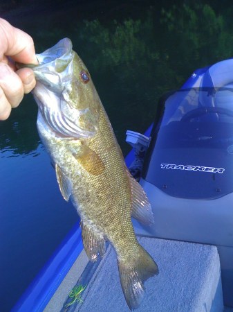 Rays Town Lake Pa.