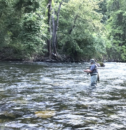 Upper Sacramento River 