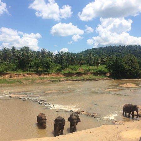 Sri Lanka beauty