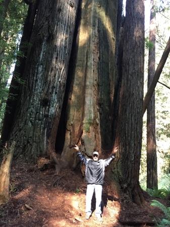 What's bigger, me or the tree?