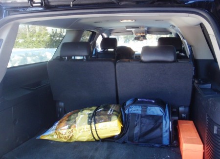 Buba's food, toys & suitcase  in private limo