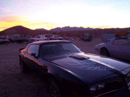 Joseph Lacy my son's  Bandit Trans Am