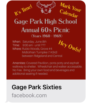 Gage Park High School 1960-1969 annual picnic
