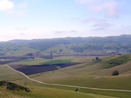 Looking out to Los Osos Valley from the ranch