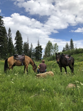 On a ride near Bowman Lake in the Sierras,