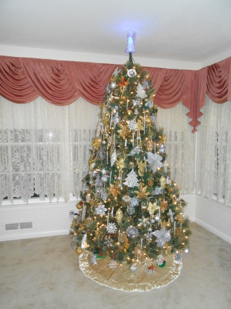 2013 Christmas Tree