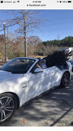 Bringing home the Christmas tree in Thunder