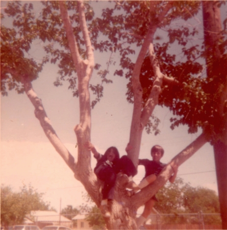 Tony Perez in a Tree