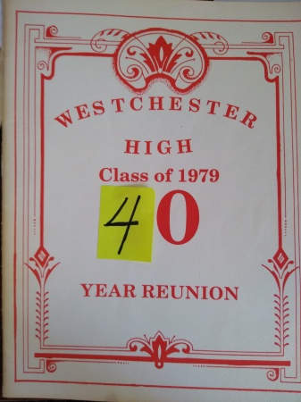 Elyse Dematteis' album, Westchester High School Reunion