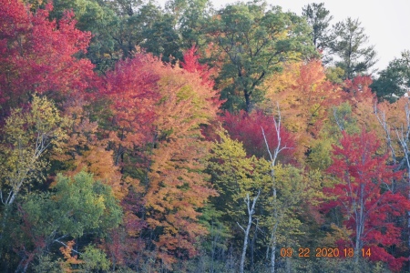 Love my fall colors around the lake!!  