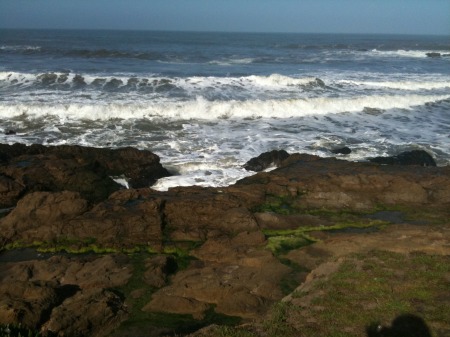 Northern California Coast