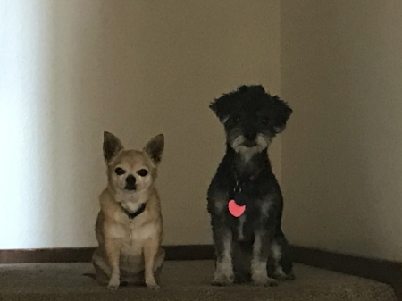 Sophie, 14 and Holly, 13