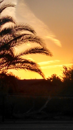 AZ Sunset 3