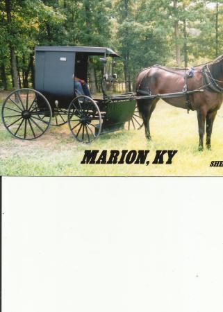Amish in Marion, Ky.