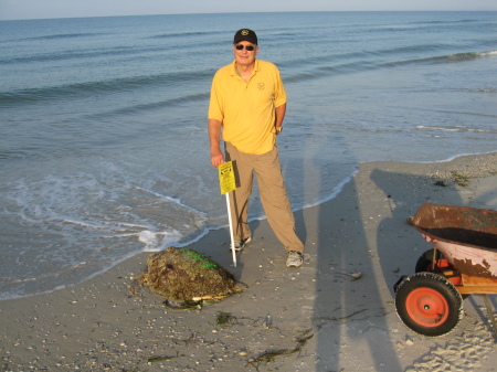 William Wargo's album, Alligator Point Sea Turtle Patrol 