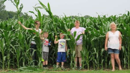 Field of Dreams