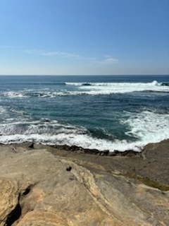 PACIFIC OCEAN (LA JOLLA CA)