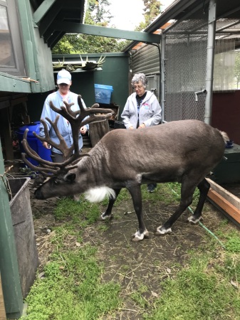 Daughter Jeni, Mom and Star, her pet reindeer.