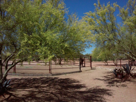 Springtime at the ranch