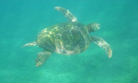 Off Hikkaduwa Beach