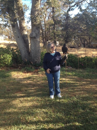 After Lifetime of Reptiles, Thinkin Falconry