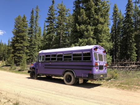 Purple Bus #2