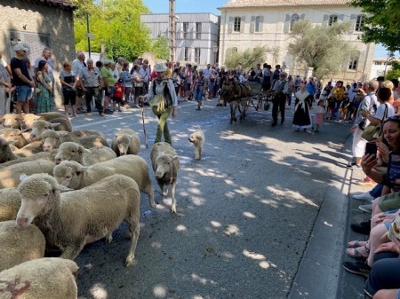 Fete de la Transhumance