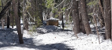 Outhouse in Little Round Valley