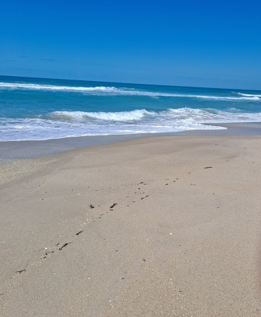 Melbourne Beach 